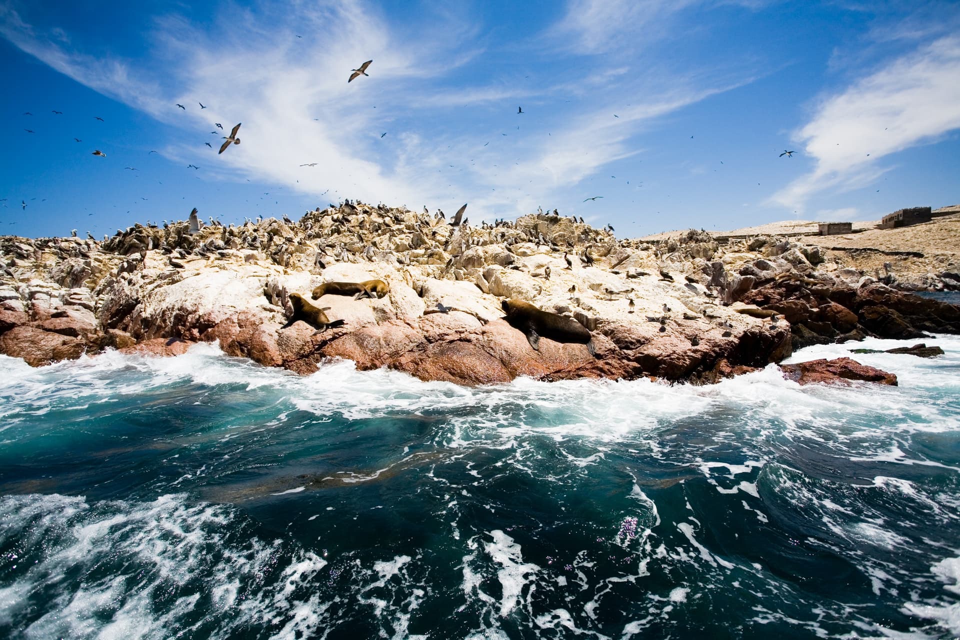Islas Ballestas